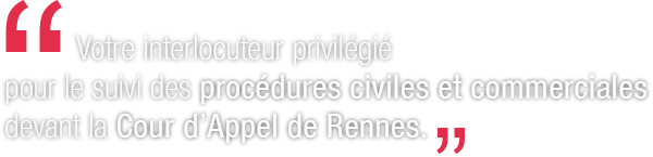 Votre interlocuteur privilégié pour le suivi des procédures civiles et commerciales devant la Cour d’Appel de Rennes.